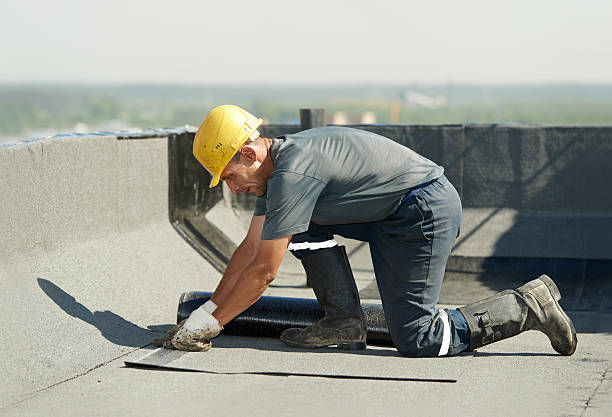 Best Specialty Insulation in Mayville, ND