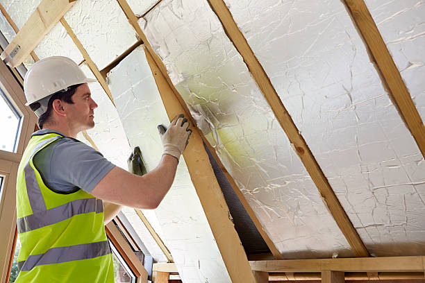 Best Insulation Maintenance and Repair in Mayville, ND