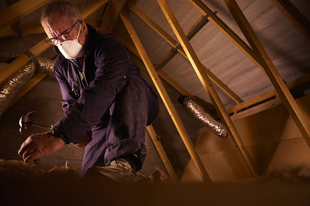 Best Commercial Insulation in Mayville, ND
