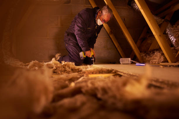 Best Residential Insulation in Mayville, ND